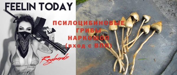 индика Алексеевка