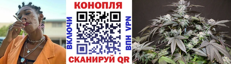 Шишки марихуана семена  цена   Знаменск 